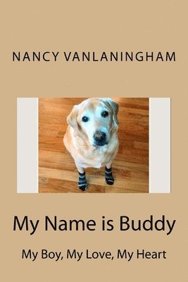 My Name is Buddy: My Boy, My, Love, My Heart 1