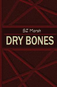 bokomslag Dry Bones
