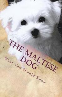 bokomslag The Maltese Dog: What You Should Know