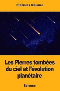 bokomslag Les Pierres tombées du ciel et l'évolution planétaire