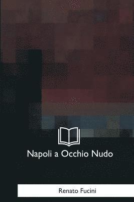 Renato Fucini - Napoli a Occhio Nudo: Lettere Ad Un Amico, Häftad