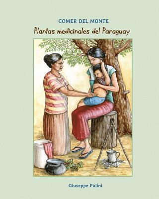 bokomslag Plantas Medicinales del Paraguay