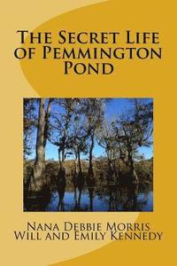 bokomslag The Secret Life of Pemmington Pond