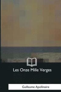 bokomslag Les Onze Mille Verges