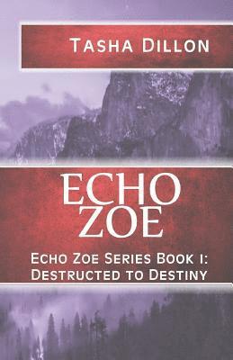 bokomslag Echo Zoe: Book 1: Destructed to Destiny