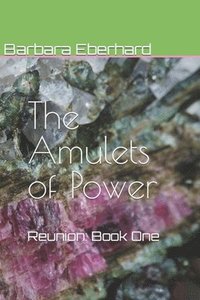 bokomslag The Amulets of Power
