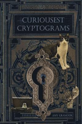 bokomslag Curiousest Cryptograms