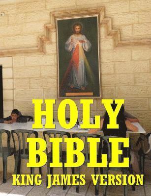 bokomslag Holy Bible