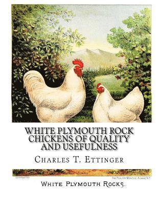 White Plymouth Rock Chickens of Quality and Usefulness: A Poultry Catalog of Maple Farm of Midlothian 1