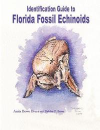 bokomslag Identification Guide to Florida Fossil Echinoids