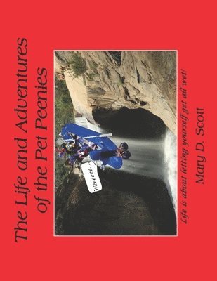 bokomslag The Life and Adventures of the Pet Peenies