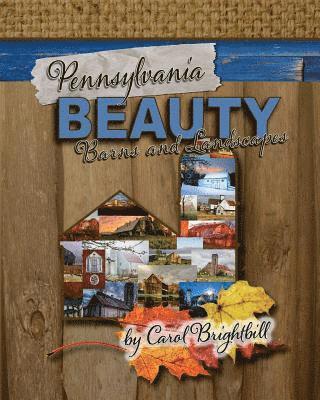 bokomslag Pennsylvania Beauty - Barns and Landscapes: Featuring Old Barns and Lovely Landscapes in Northeast PA