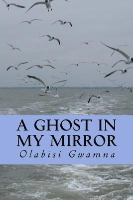 A Ghost in My Mirror 1