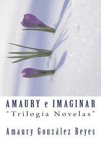 bokomslag Amaury e Imaginar "Trilogía Novelas"