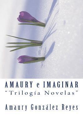 bokomslag Amaury e Imaginar "Trilogía Novelas"