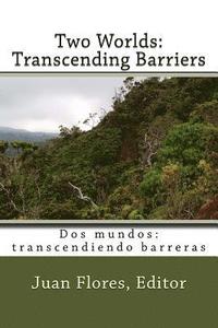 bokomslag Two Worlds: Transcending Barriers: Historias de inmigrantes del corazón