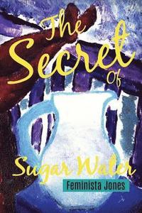 bokomslag The Secret of Sugar Water