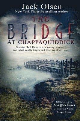bokomslag Bridge at Chappaquiddick