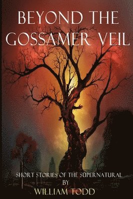 Beyond the Gossamer Veil: Short Stories of the Supernatural 1