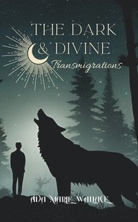 bokomslag The Dark & Divine: Transmigrations