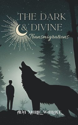 bokomslag The Dark & Divine: Transmigrations
