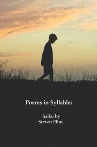 bokomslag Poems In Syllables: Haiku By Steven Flin