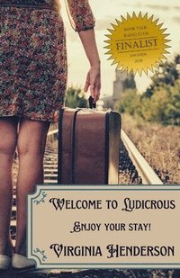 bokomslag Welcome to Ludicrous