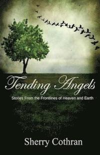 bokomslag Tending Angels: Stories From the Frontlines of Heaven and Earth