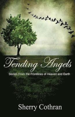 bokomslag Tending Angels: Stories From the Frontlines of Heaven and Earth