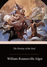 bokomslag The Destiny of the Soul