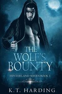 bokomslag Hinterland Book 1: The Wolf's Bounty