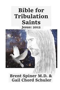 bokomslag Bible for Tribulation Saints: Jesus: 2012