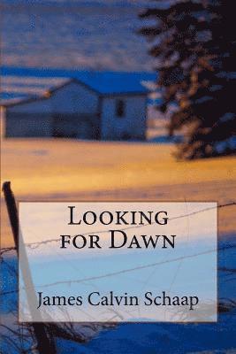 bokomslag Looking for Dawn