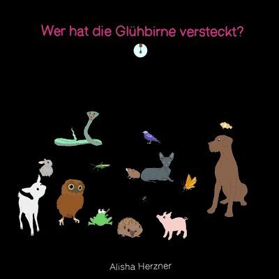 Wer hat die Gluehbirne versteckt? 1