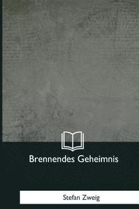 bokomslag Brennendes Geheimnis