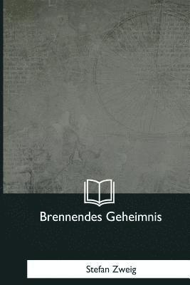 Stefan Zweig - Brennendes Geheimnis, Häftad