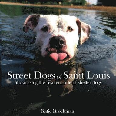 bokomslag Street Dogs of Saint Louis: Showcasing the resilient side of shelter dogs