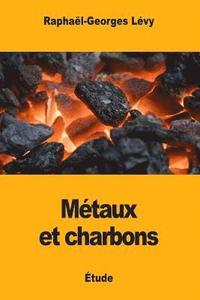 bokomslag Métaux et Charbons