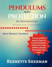 bokomslag Pendulums and Protection: An Introduction: Revised Large Format Edition