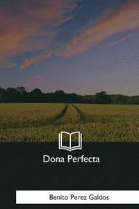 bokomslag Dona Perfecta