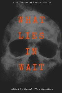 bokomslag What Lies in Wait: A Collection of Short Horror Stories