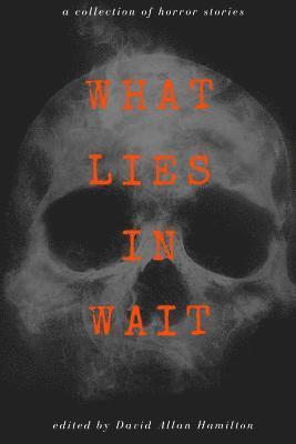 What Lies in Wait: A Collection of Short Horror Stories 1