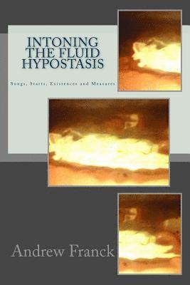 Andrew Franck - Intoning the Fluid Hypostasis: Songs, Starts, Existences and Measures, Häftad