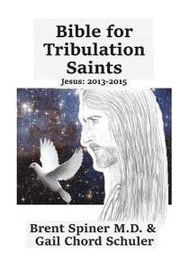 bokomslag Bible for Tribulation Saints: Jesus: 2013 - 2015