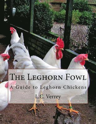 The Leghorn Fowl: A Guide to Leghorn Chickens 1