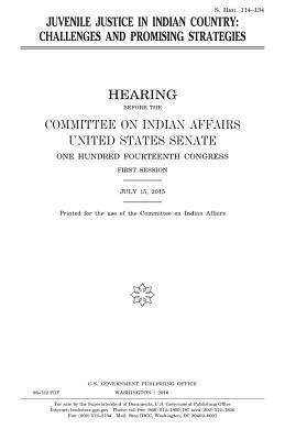 Juvenile justice in Indian country: challenges and promising strategies 1