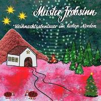bokomslag Meister Frohsinn Weihnachtsgeschichte: Weihnachtsabenteuer im hohen Norden