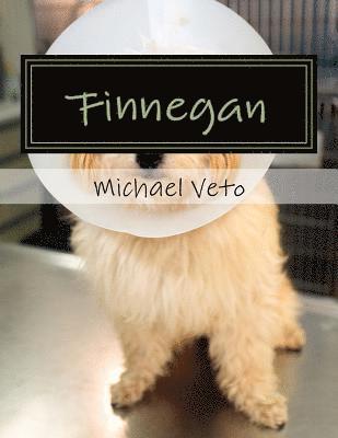 Finnegan 1