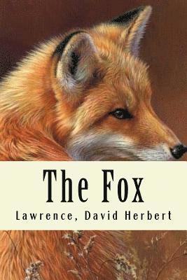 bokomslag The Fox