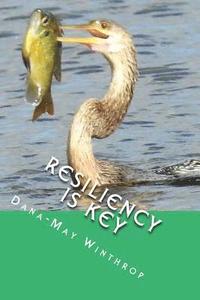 bokomslag Resiliency is Key